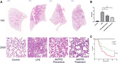 Protective Effect of Fluorofenidone Against Acute Lung Injury Through Suppressing the MAPK/NF-κB Pathway